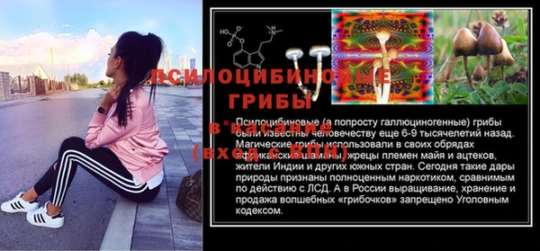 первитин Балахна