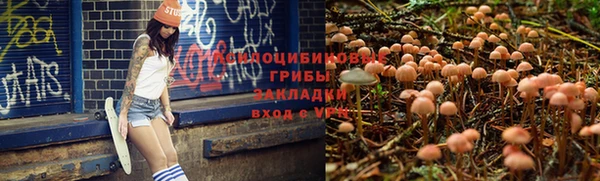 первитин Балахна